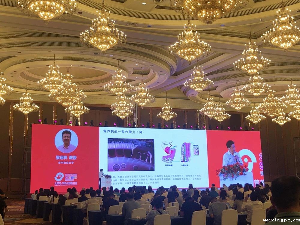 000余人共聚成都！第四届太阳鸟营养与创新大会圆满闭幕"