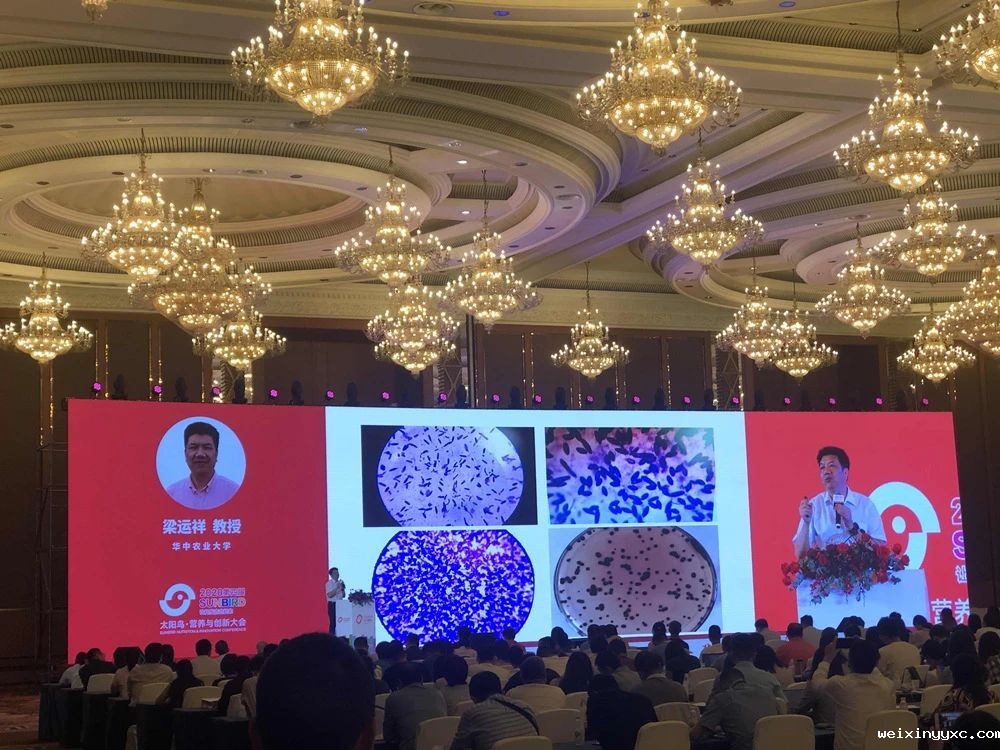 000余人共聚成都！第四届太阳鸟营养与创新大会圆满闭幕"