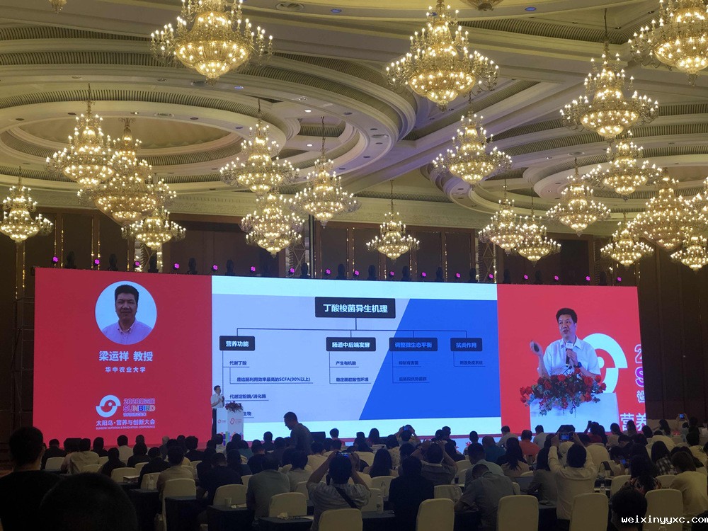 000余人共聚成都！第四届太阳鸟营养与创新大会圆满闭幕"