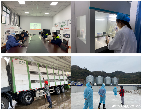 细心、严谨，用心服务好每一个客户