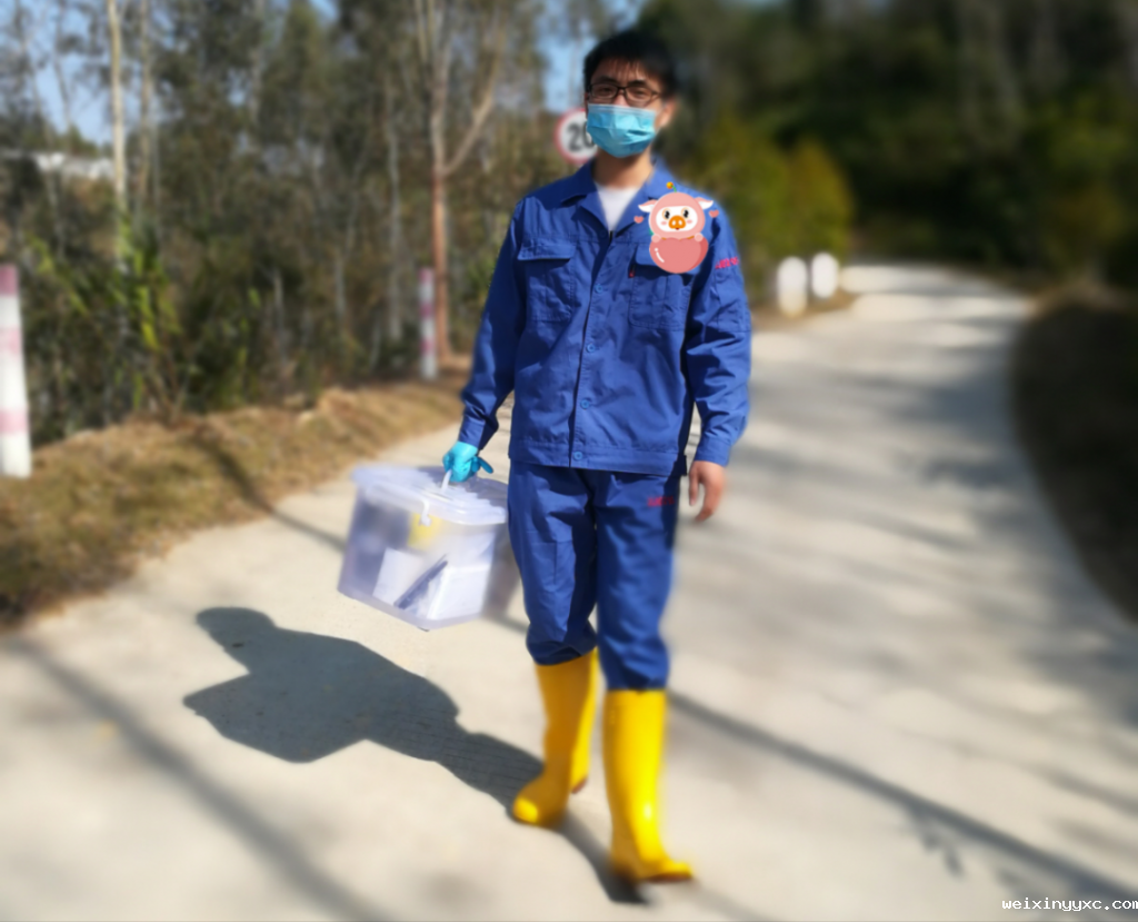 从科研探索到猪场实践！看看这位985育种博士干了啥