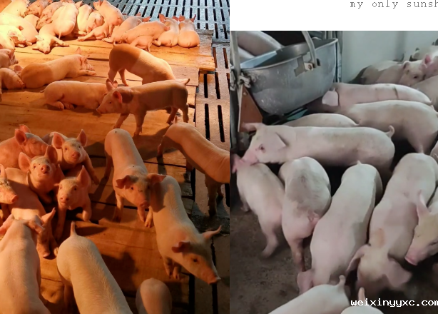 炫父日 | 原来你是这样“花心”的爸爸