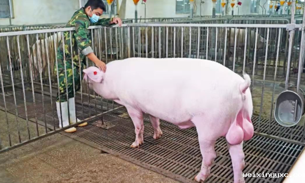 炫父日 | 原来你是这样“花心”的爸爸