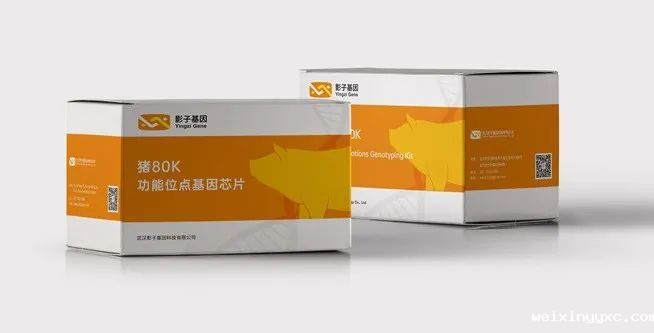 影子基因，提供功能位点基因芯片育种整体解决方案 (全)