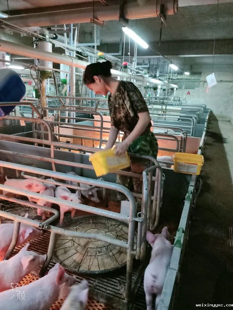 致敬扬翔可柔可飒的“半边天”！解锁每一位最美的她~