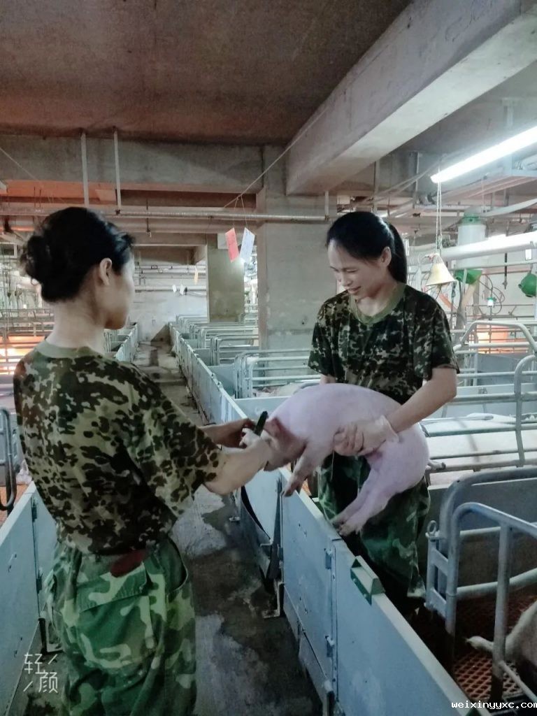 致敬扬翔可柔可飒的“半边天”！解锁每一位最美的她~