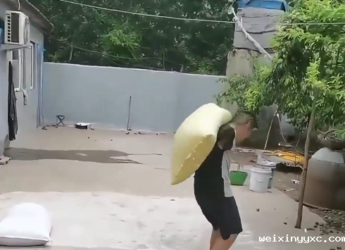 走访超300名养猪人，我们知道了大家坚持的答案